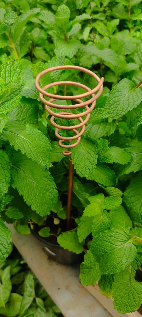 Antena Eletrocultura Espiral Cobre - Imagem 8